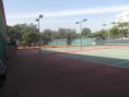 /album/gavea/gavea043-jpg/